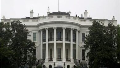 الفيدرالية