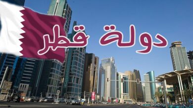 قطر: تحقيق الاستقرار الإقليمي والدولي مرهون بحل عادل وشامل للقضية الفلسطينية 10 قطر